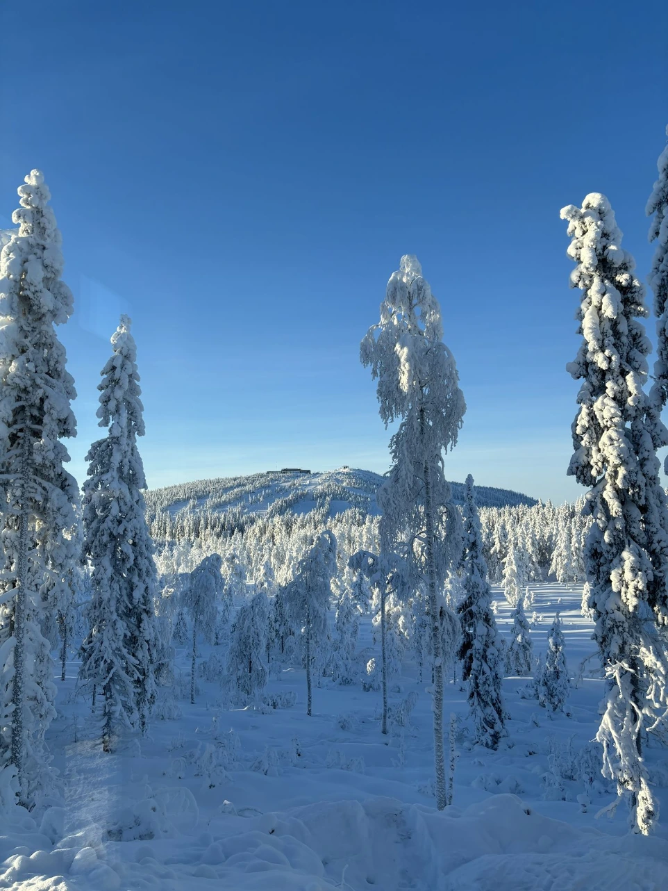 Moderni huvila Syötteellä - talvimaisema
